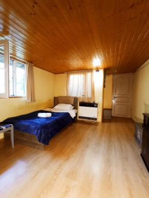 Solo Traveler Cortile